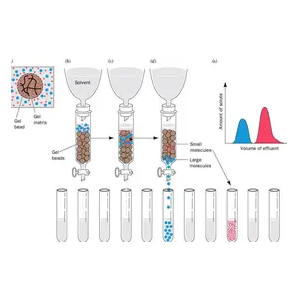 分子排阻色谱法