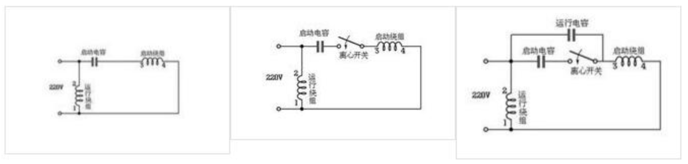 种类